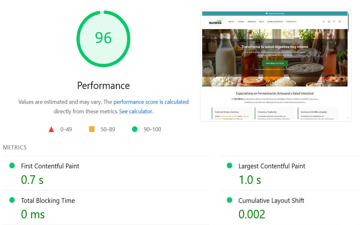 PageSpeed Insights NutriBrew España — puntuación 95 sobre 100 en rendimiento web